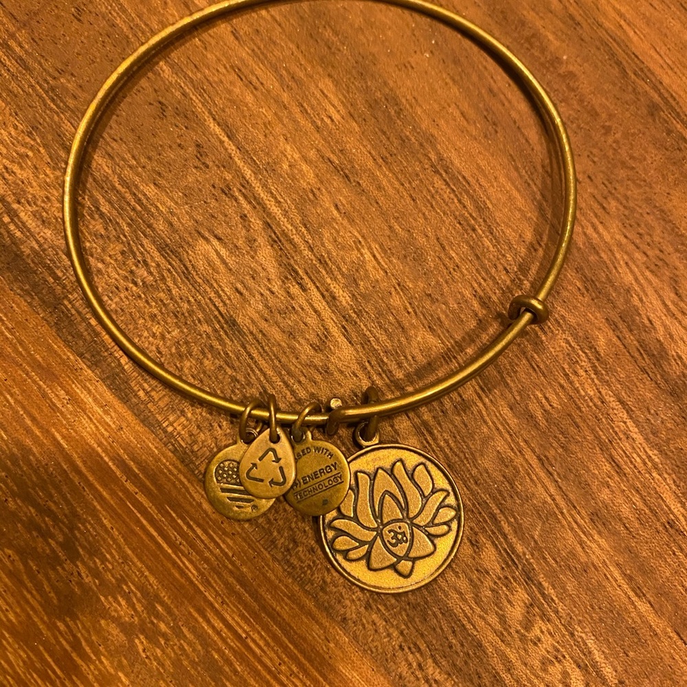 Alex and ani